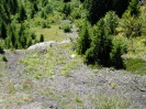 P9190038