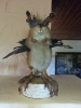 20130701_200320