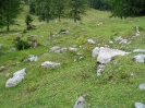 20140907_095912