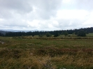 20150906_113841