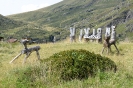 20190910_124542_Passo-del-Vivione2