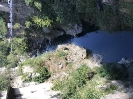 Pont-en Roynas_3