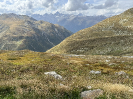 IMG_7704
