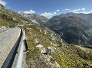 IMG_7724