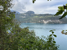 IMG_7771